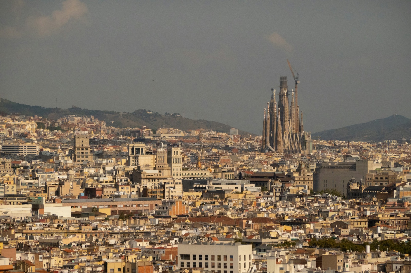Barcelona and the Sagrada Família seen from the green slopes of Montjuïc