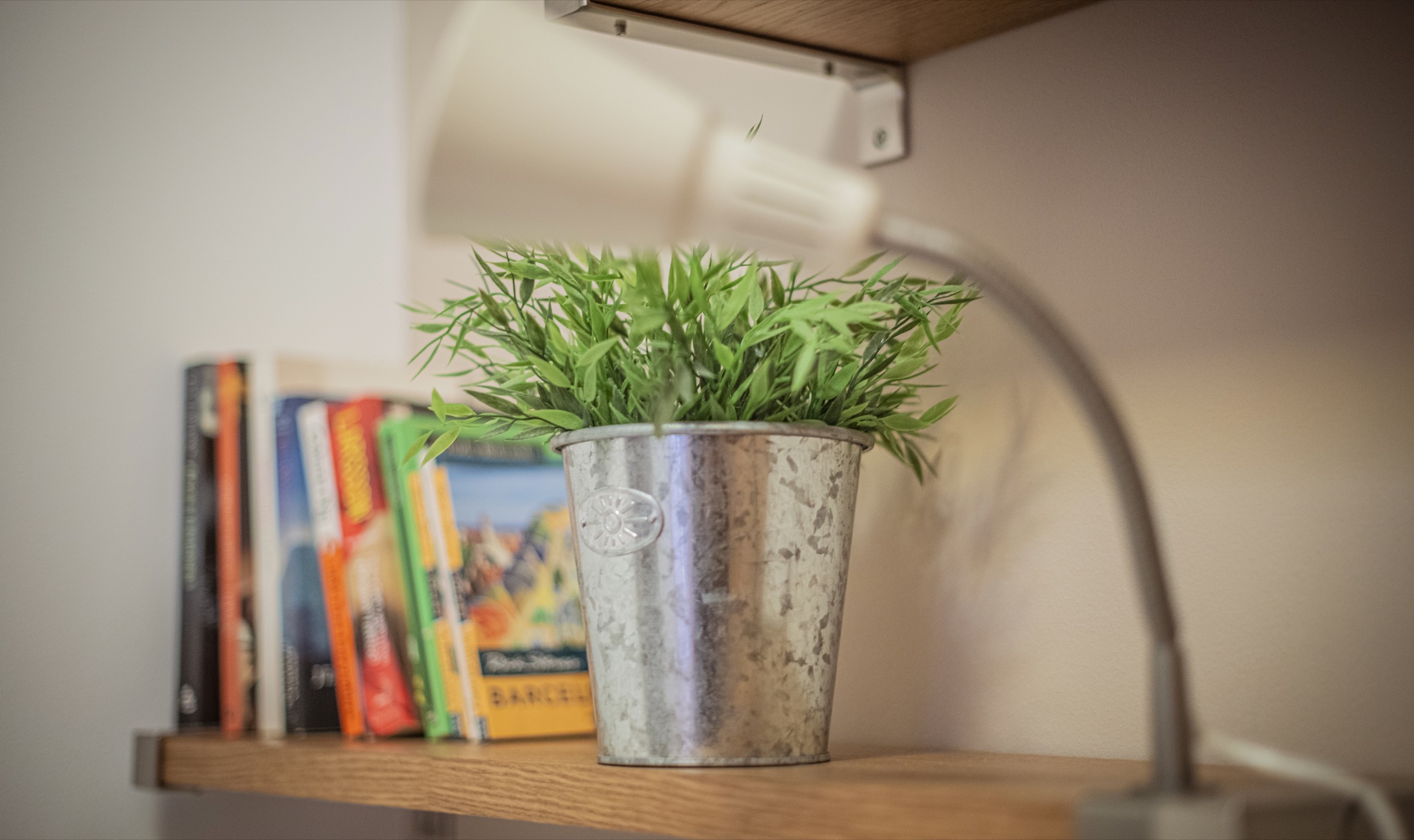 Books and greenery in the Suite Bella library